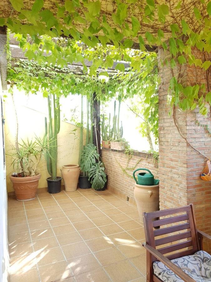 Piso En El Albaicin Alto, Junto Al Mirador De San Miguel Alto. Granada. Apartment Exterior photo